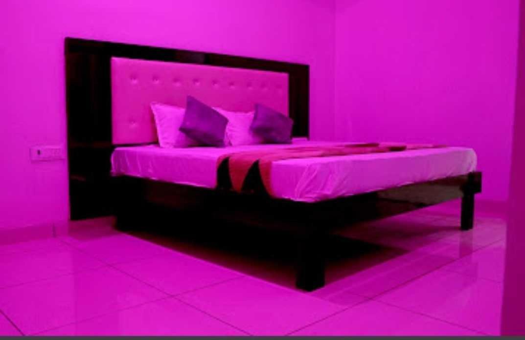 Rohtak Oyo Palace Hotel מראה חיצוני תמונה